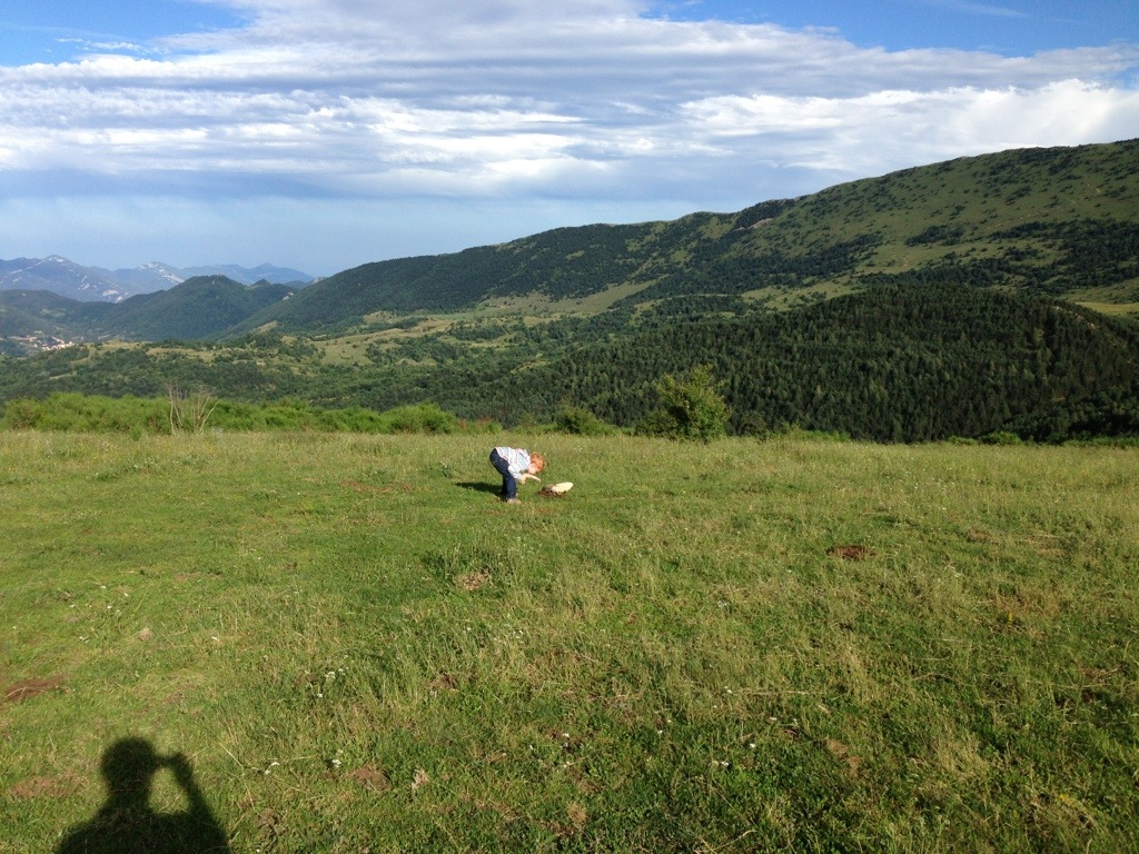 20130731-062332.jpg